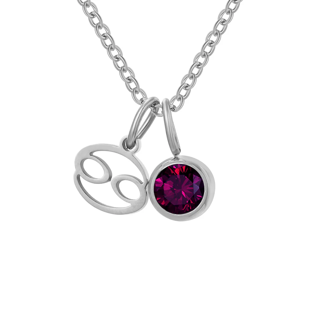 Zodiac Sign & Birthstone Necklace - Image 29