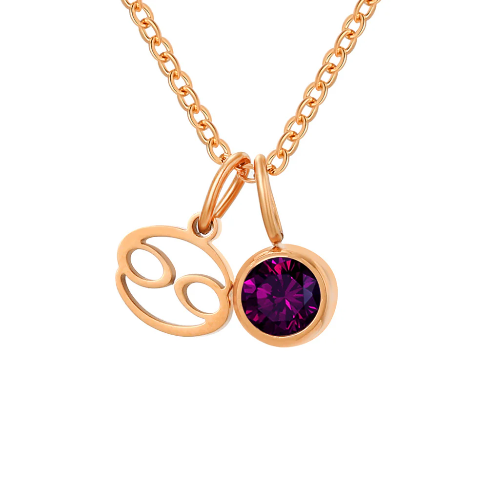Zodiac Sign & Birthstone Necklace - Image 35
