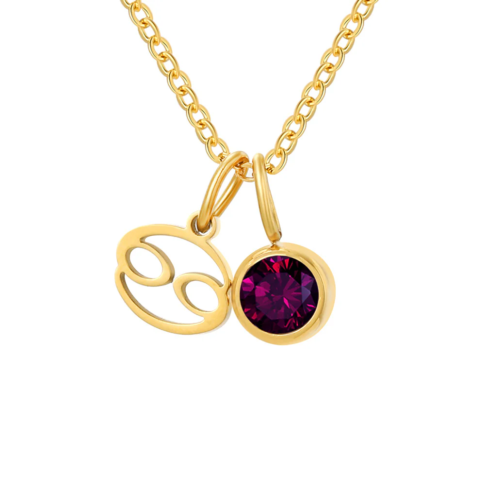 Zodiac Sign & Birthstone Necklace - Image 4